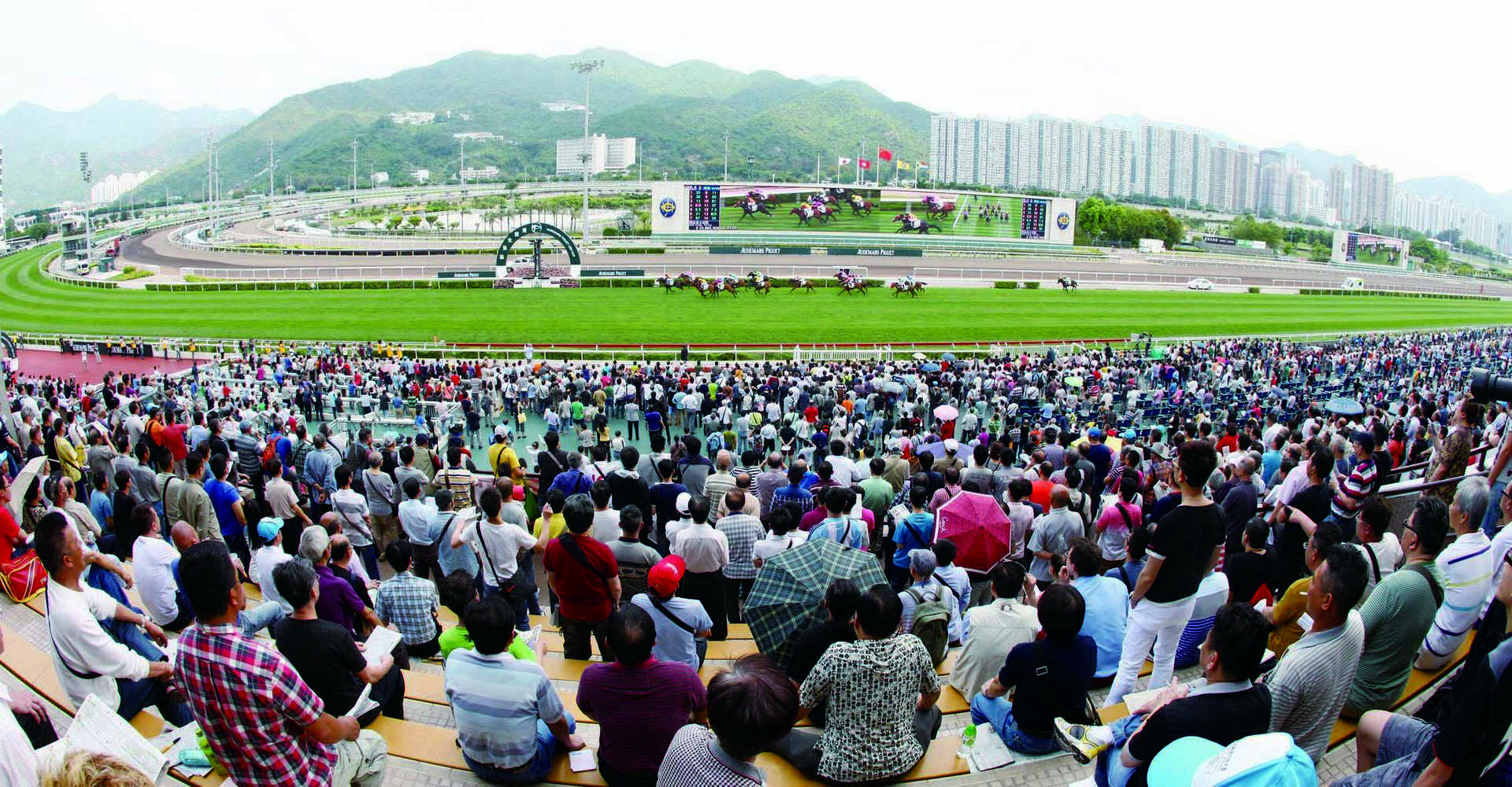 1978年啟用的沙田馬場是香港第二個馬場，設備完善，每逢賽馬日，吸引大批市民前往欣賞賽事，場面氣氛熱鬧。（圖片 / 香港賽馬會）