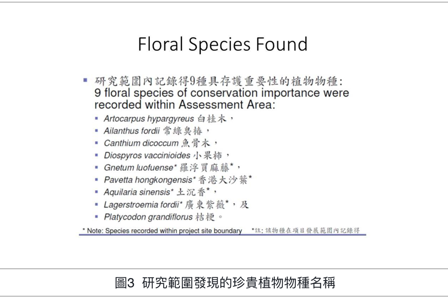 圖3  研究範圍發現的珍貴植物物種名稱