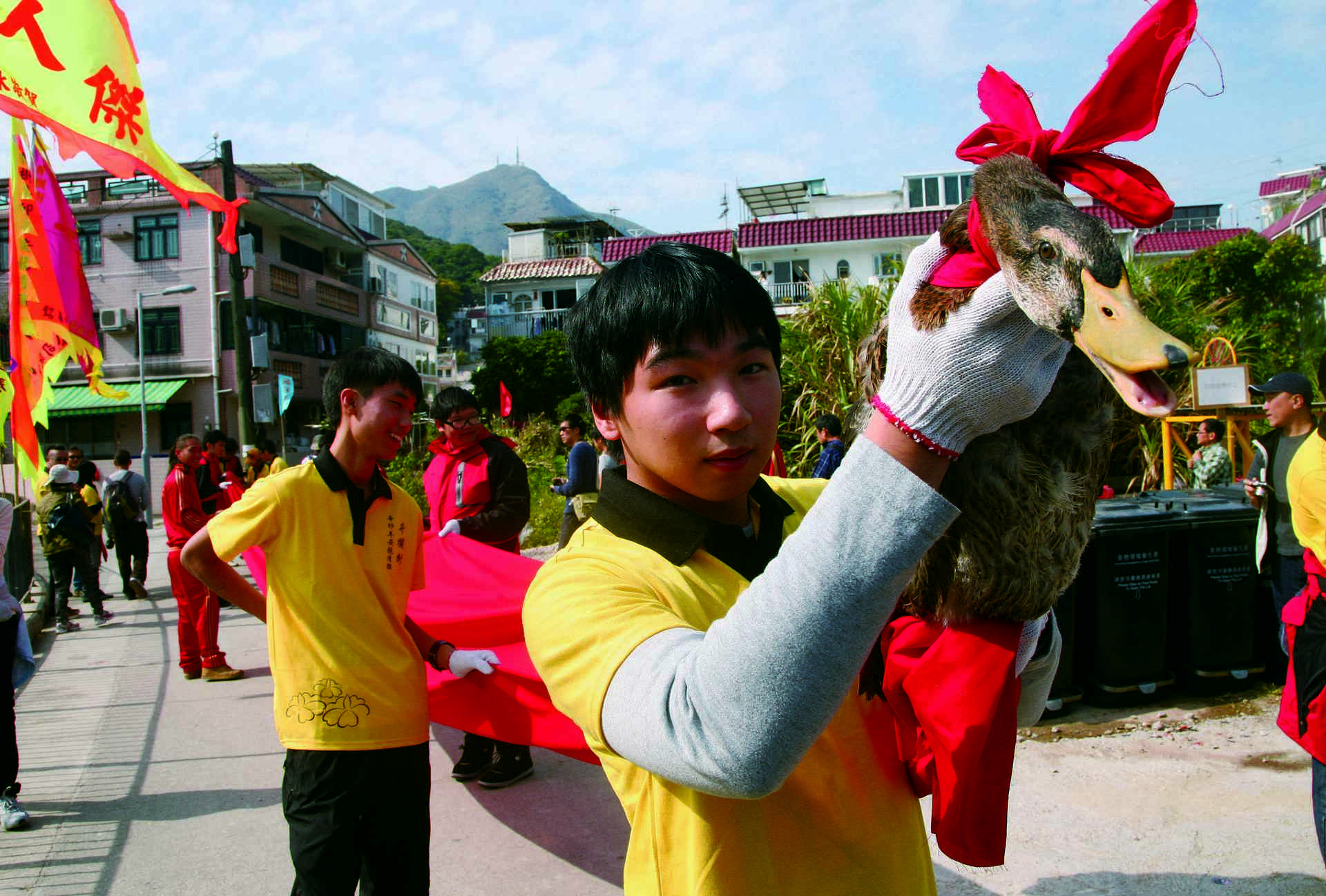 井欄樹三十年一屆的安龍儀式，村民以鴨頭代替龍頭沿村巡遊。