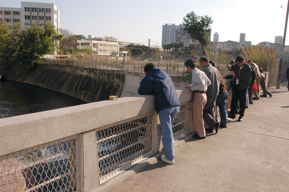 經過淨化的啟德河，水質改善，多了魚類活動，引來不少街坊垂釣。